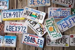 New or Transferred License Plates