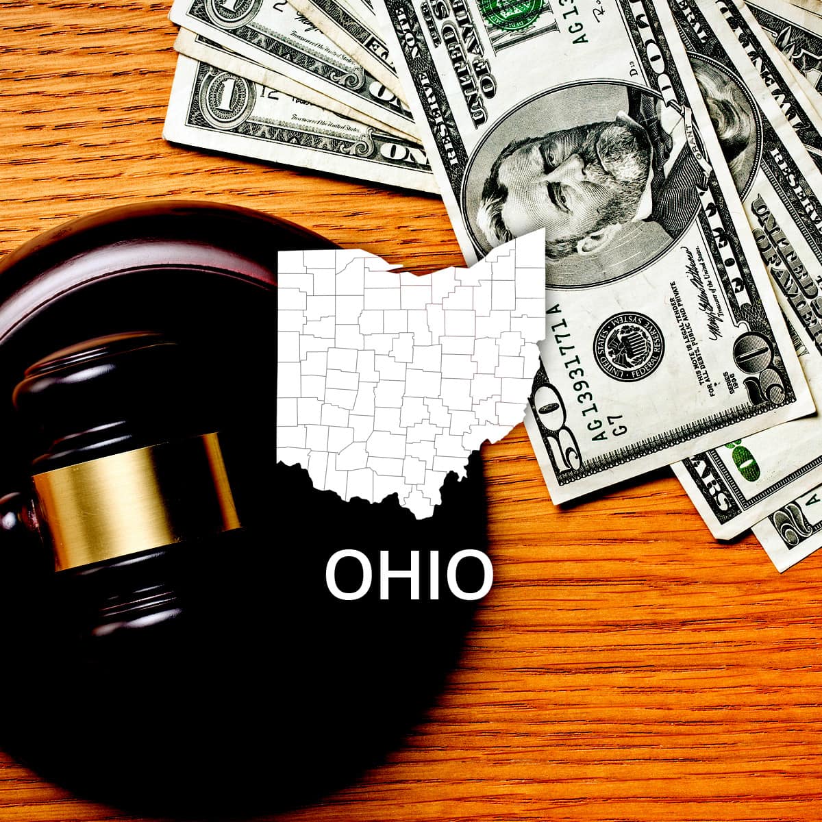 How to File Bankruptcy in Ohio Without a Lawyer - RecordsFinder