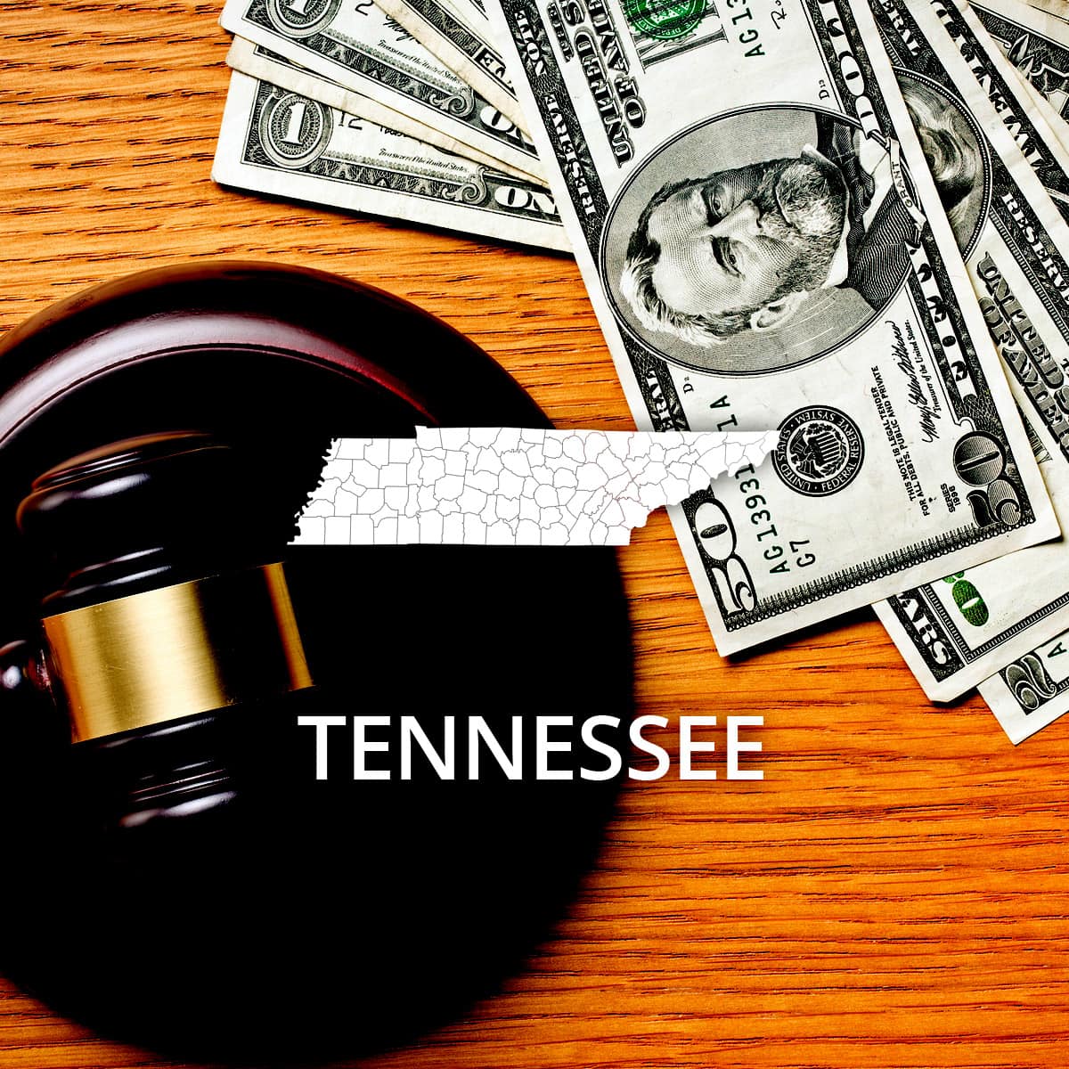 How to File Chapter 7 Bankruptcy in Tennessee - RecordsFinder