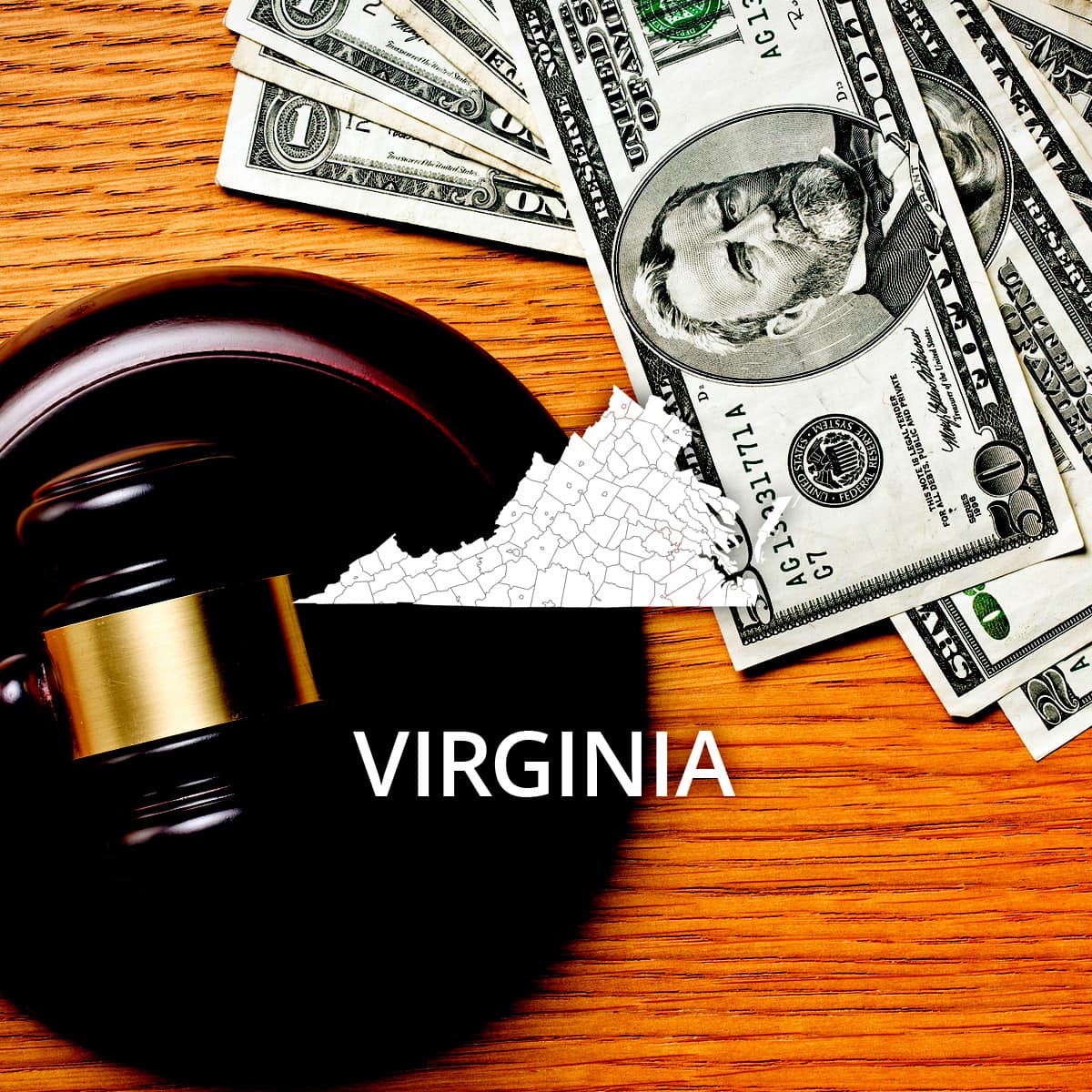 How to File Bankruptcy Chapter 7 in Virginia - RecordsFinder