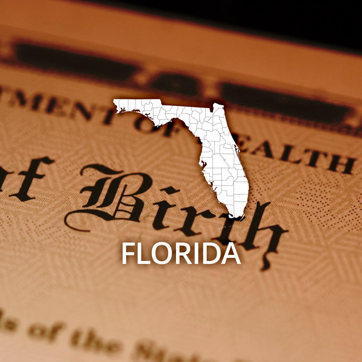 florida birth certificate template