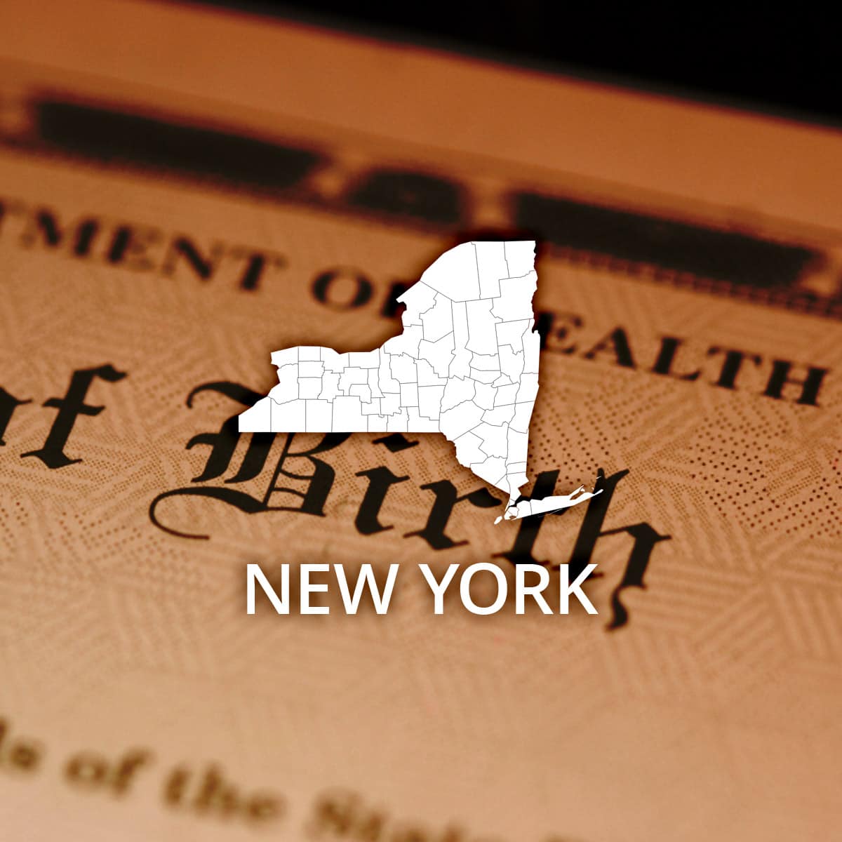 Where to Obtain a New York Birth Certificate Where to Obtain a New York Birth Certificate