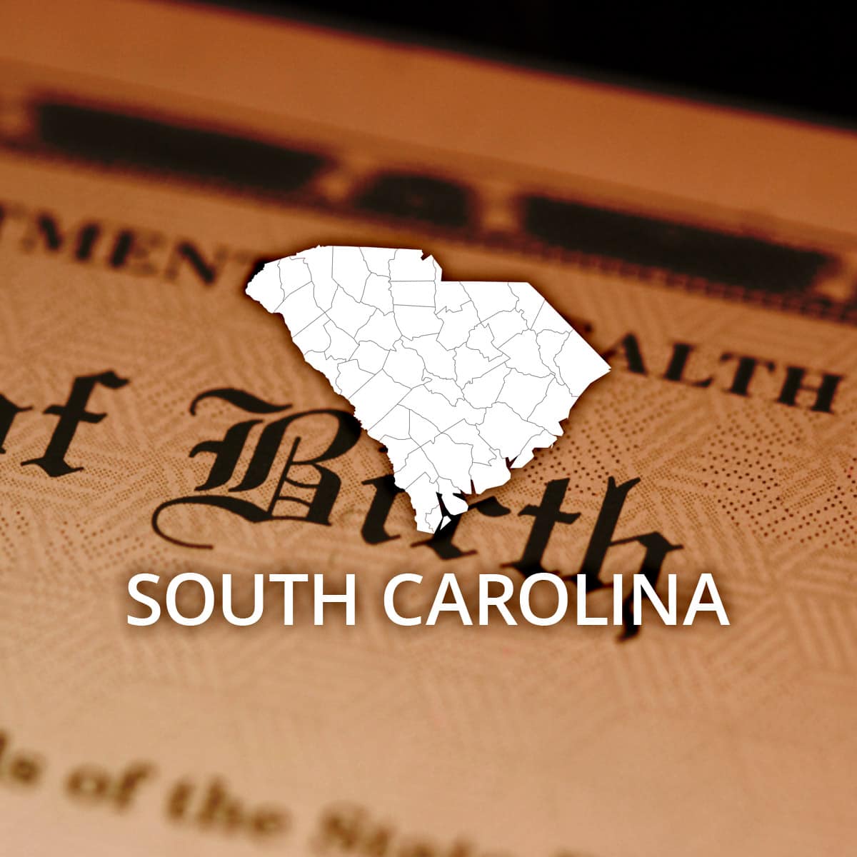 South Carolina Public Birth Records Search Online RecordsFinder