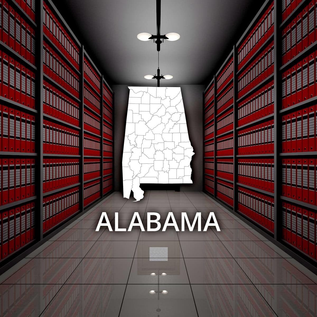 Alabama Public Court Records prntbl concejomunicipaldechinu gov co