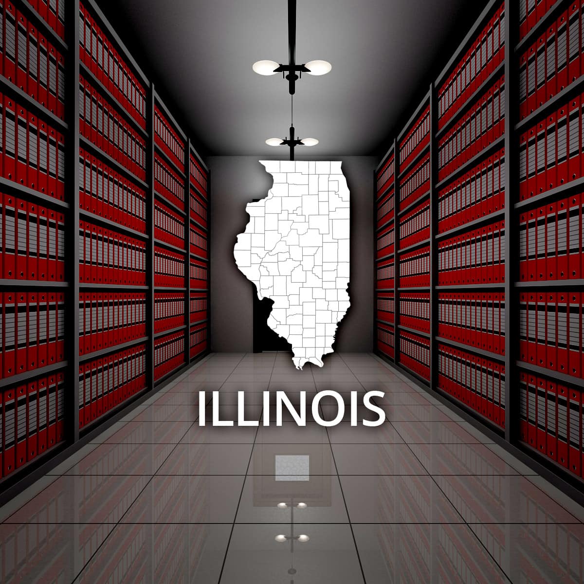 illinois-state-public-records-online