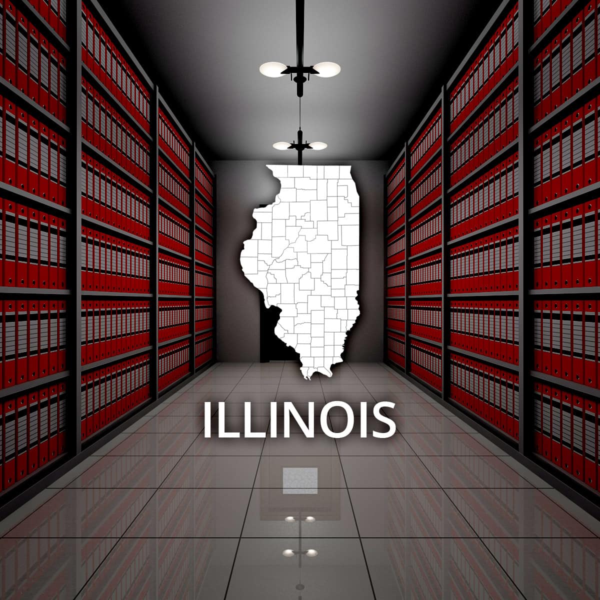 Illinois State Public Records Online RecordsFinder
