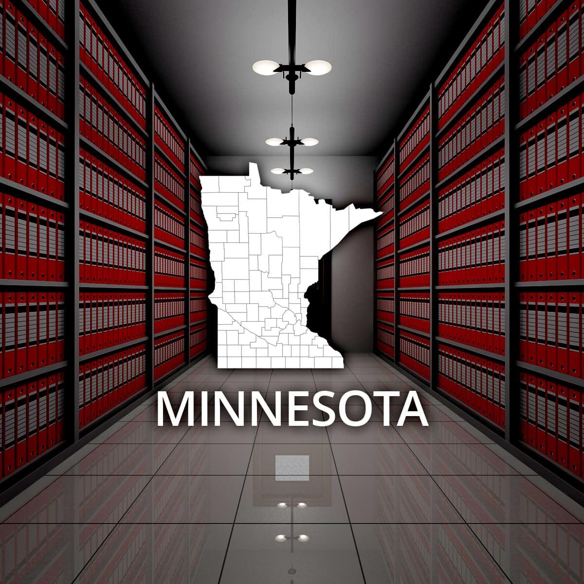 Minnesota State Public Records Online