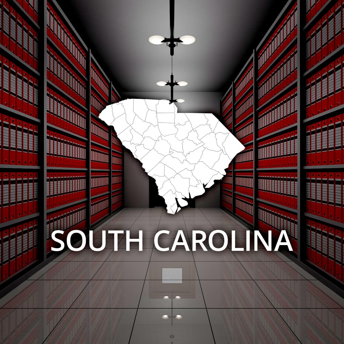 Public Records Sc