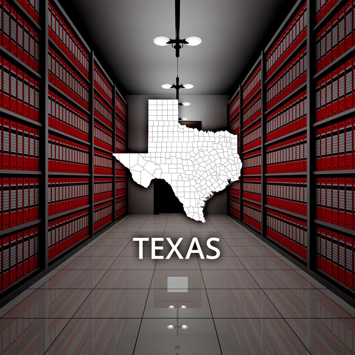 texas-state-public-records-online